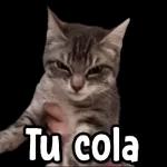 Oye eres el Amor de mi Vida, Te amo Corazón