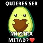 QUIERES SER MI OTRA MITAD?