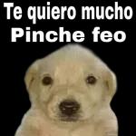 Dale túperdónseñor