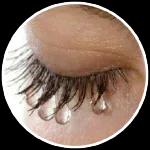 TextSticker 2024 I LOVE YOU