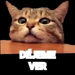 memes