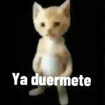 No quiero