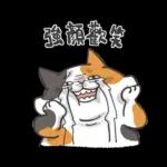 肥貓躺躺(上班鳥事)