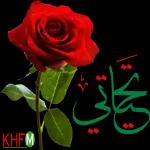 تسلمي يا غالية