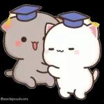 Mochi Peach Cat 2
                    
Mochi Peach Cat