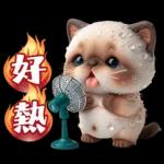 可愛暹羅貓的日常