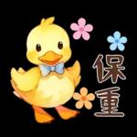黃毛鴨