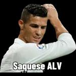 Bicho 