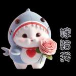 Shark Chubby Meow [TW]