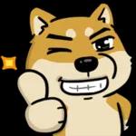 豆卡頻道-茶寶丸萌犬篇