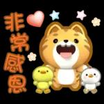 閃亮的日子=椪柑=