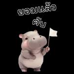 ฮิปโปรักดึงดงบิ๊ก