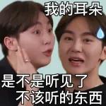 seventeen表情管理2 :: @fStikBot