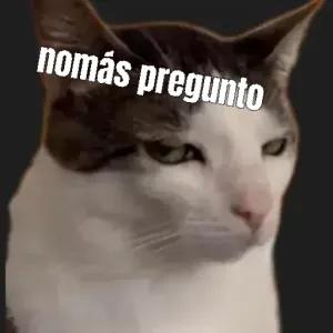 nomás pregunto - getsticker.com