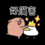 小水豚與鴨子朋友（蠟筆風）