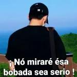 ¡ Nó miraré ésa bobada sea serio !