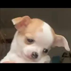 aKdBvj