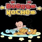 buenas noches 