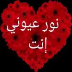 نور عيوني أنت