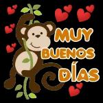 Muy buenos días 