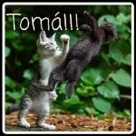 ¡FELIZ CUMPLEAÑOS!