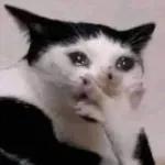 골드브라운 토피넛 라떼