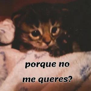 kNXnkw
