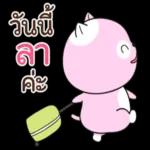 แมวนานาประเภท