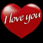 sorrysorry😭	I didn't mean it