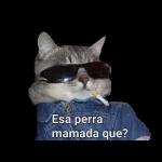 Multa por responder tarde