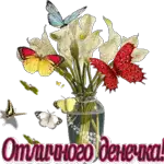 день,вечер,прив