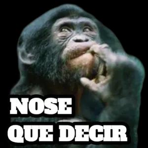 NOSE QUE DECIR  - getsticker.com