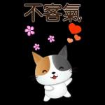 實用大貼圖 職場日常 可愛花貓