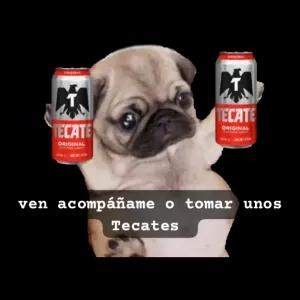ven acompáñame o tomar unos Tecates - getsticker.com