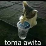 tengo