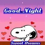 Good night, sweet dream