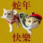 Year of Snake 蛇年快樂