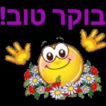 יאיר רומר כאור החמה