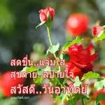 ดอกกุหลาบ🌹🌹