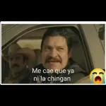 Me vale vergapuñetón, me valeverga, todo pendejo