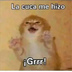0oikXO