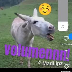 tE7Tvy
