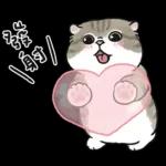 愛撒嬌的奶油小生 (虎斑貓)