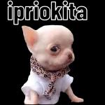 ipriokita