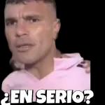 Insecto 