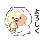 Friends cat GLUTTON2