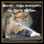 Запахло весной