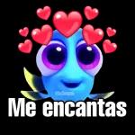 paquete 2
