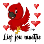lief jou