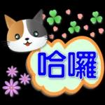 我無法阻止自己落俗但浪漫不死